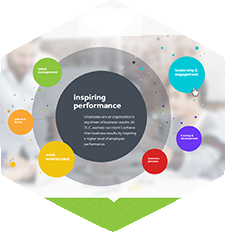business website