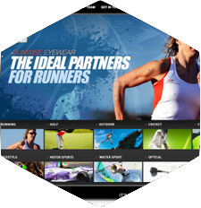 business website