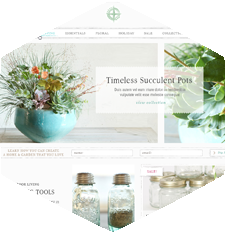 Ecommerce Web Design