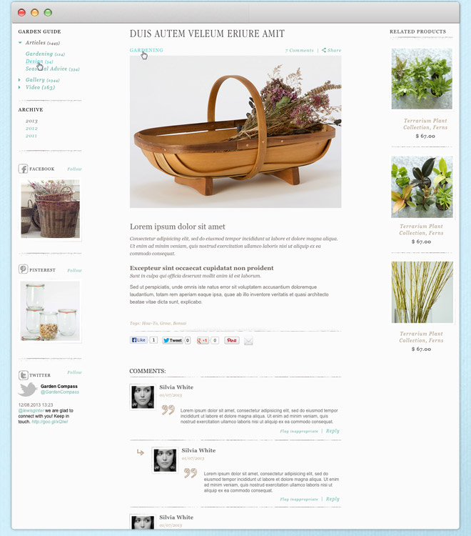 web design