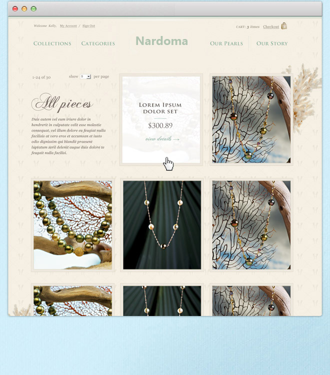 Web Design