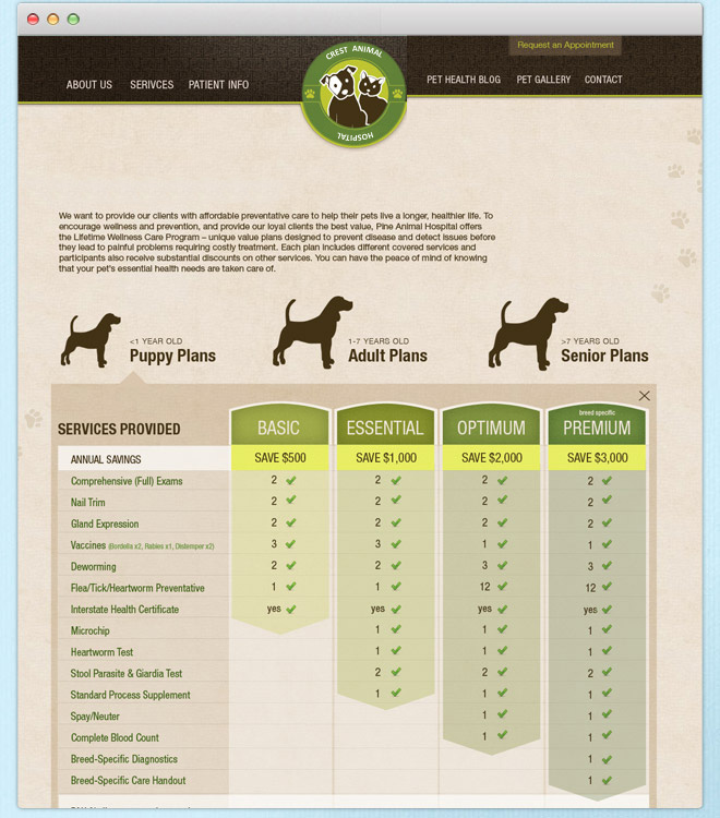 Web Design